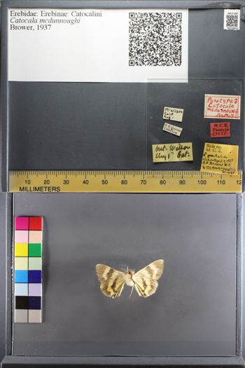 Media type: image;   Entomology 749657